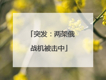 突发：两架俄战机被击中