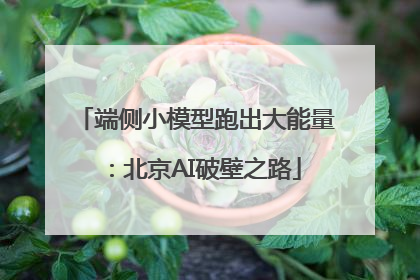 端侧小模型跑出大能量：北京AI破壁之路