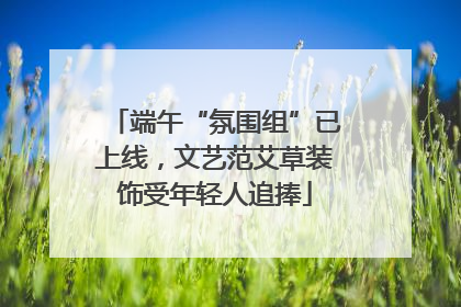 端午“氛围组”已上线，文艺范艾草装饰受年轻人追捧