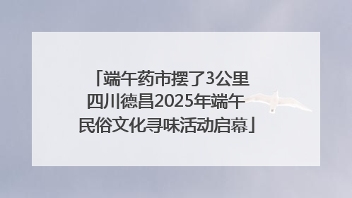 端午药市摆了3公里 四川德昌2025年端午民俗文化寻味活动启幕