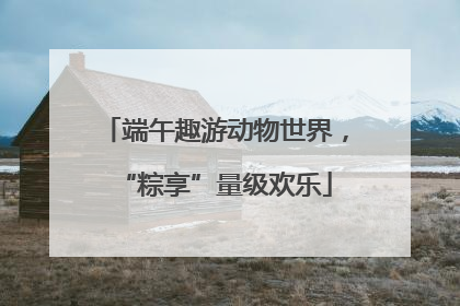 端午趣游动物世界，“粽享”量级欢乐
