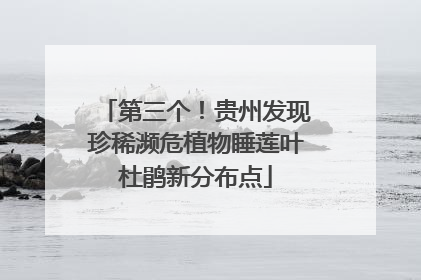 第三个！贵州发现珍稀濒危植物睡莲叶杜鹃新分布点