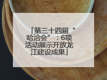 第三十四届“哈洽会”：6项活动展示开放龙江建设成果