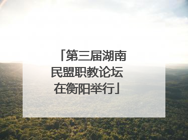 第三届湖南民盟职教论坛在衡阳举行