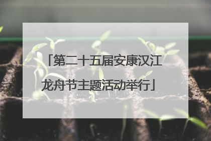 第二十五届安康汉江龙舟节主题活动举行