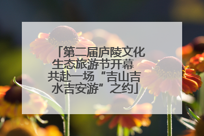 第二届庐陵文化生态旅游节开幕 共赴一场“吉山吉水吉安游”之约