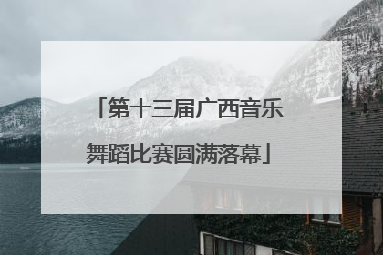 第十三届广西音乐舞蹈比赛圆满落幕