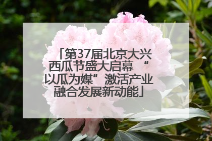 第37届北京大兴西瓜节盛大启幕 “以瓜为媒”激活产业融合发展新动能