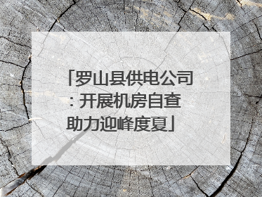 罗山县供电公司：开展机房自查 助力迎峰度夏