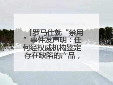 罗马仕就“禁用”事件发声明：任何经权威机构鉴定存在缺陷的产品，将依法负全责