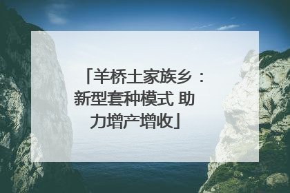 羊桥土家族乡：新型套种模式 助力增产增收