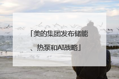 美的集团发布储能、热泵和AI战略