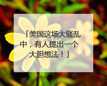 美国这场大骚乱中，有人提出一个大胆想法！