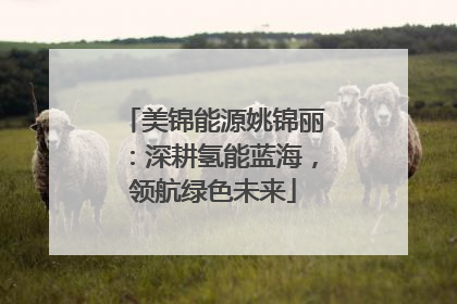 美锦能源姚锦丽：深耕氢能蓝海，领航绿色未来