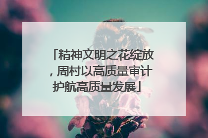 精神文明之花绽放，周村以高质量审计护航高质量发展