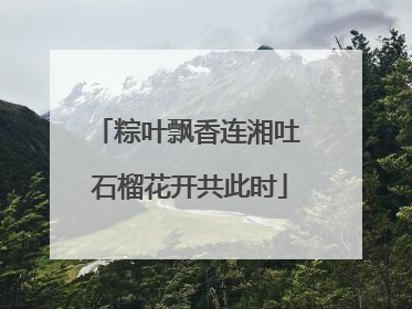 粽叶飘香连湘吐 石榴花开共此时