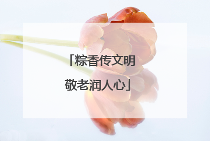 粽香传文明 敬老润人心