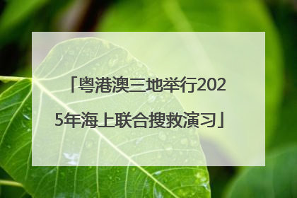 粤港澳三地举行2025年海上联合搜救演习