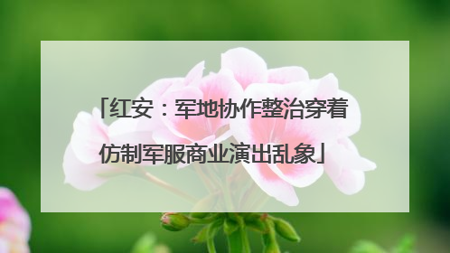 红安：军地协作整治穿着仿制军服商业演出乱象