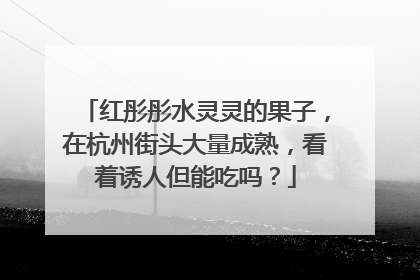 红彤彤水灵灵的果子，在杭州街头大量成熟，看着诱人但能吃吗？
