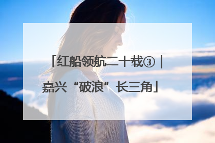 红船领航二十载③｜嘉兴“破浪”长三角