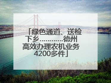 绿色通道、送检下乡…………德州高效办理农机业务4200多件