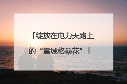 绽放在电力天路上的“雪域格桑花”