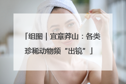 组图｜宜章莽山：各类珍稀动物频“出镜”