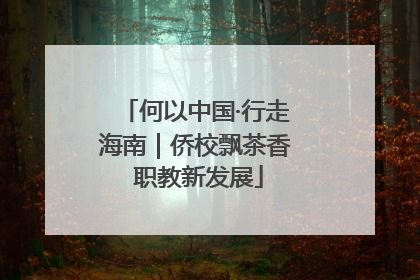 何以中国·行走海南｜侨校飘茶香 职教新发展
