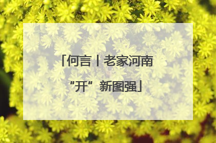 何言丨老家河南 “开”新图强