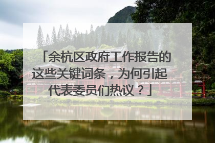 余杭区政府工作报告的这些关键词条，为何引起代表委员们热议？