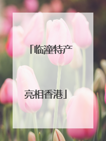 临潼特产亮相香港