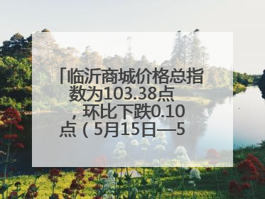 临沂商城价格总指数为103.38点，环比下跌0.10点（5月15日—5月21日）
