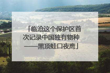 临沧这个保护区首次记录中国独有物种——黑顶蛙口夜鹰