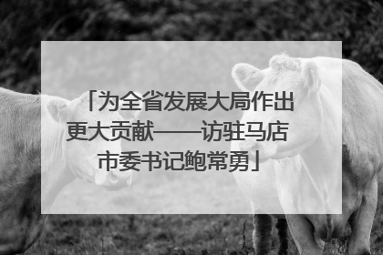为全省发展大局作出更大贡献——访驻马店市委书记鲍常勇
