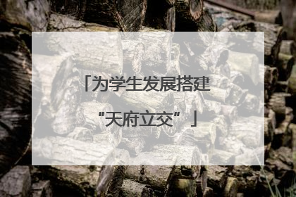 为学生发展搭建“天府立交”