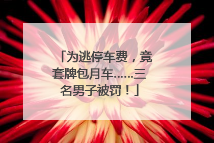 为逃停车费，竟套牌包月车……三名男子被罚！