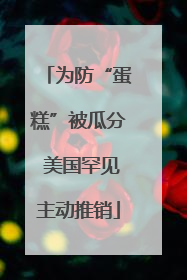 为防“蛋糕”被瓜分 美国罕见主动推销