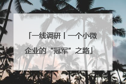 一线调研丨一个小微企业的“冠军”之路