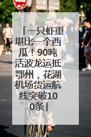 一只虾重堪比一个西瓜！90吨活波龙运抵鄂州，花湖机场货运航线突破100条