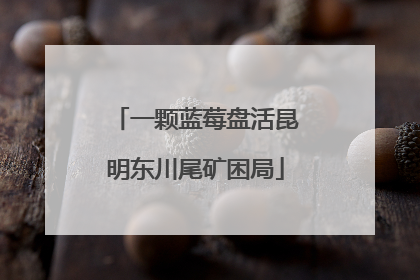 一颗蓝莓盘活昆明东川尾矿困局