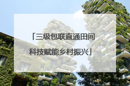 三级包联直通田间 科技赋能乡村振兴