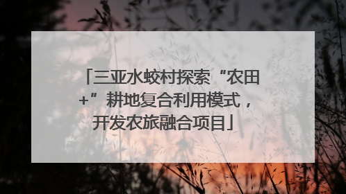 三亚水蛟村探索“农田+”耕地复合利用模式，开发农旅融合项目
