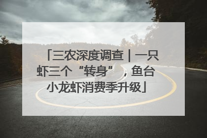 三农深度调查｜一只虾三个“转身”，鱼台小龙虾消费季升级