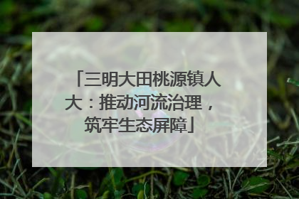 三明大田桃源镇人大：推动河流治理，筑牢生态屏障