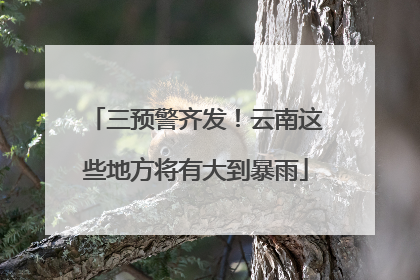 三预警齐发！云南这些地方将有大到暴雨
