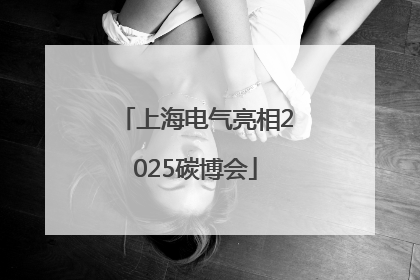 上海电气亮相2025碳博会