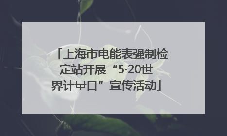 上海市电能表强制检定站开展“5·20世界计量日”宣传活动