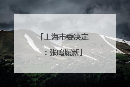 上海市委决定：张鸣履新