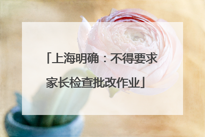 上海明确：不得要求家长检查批改作业